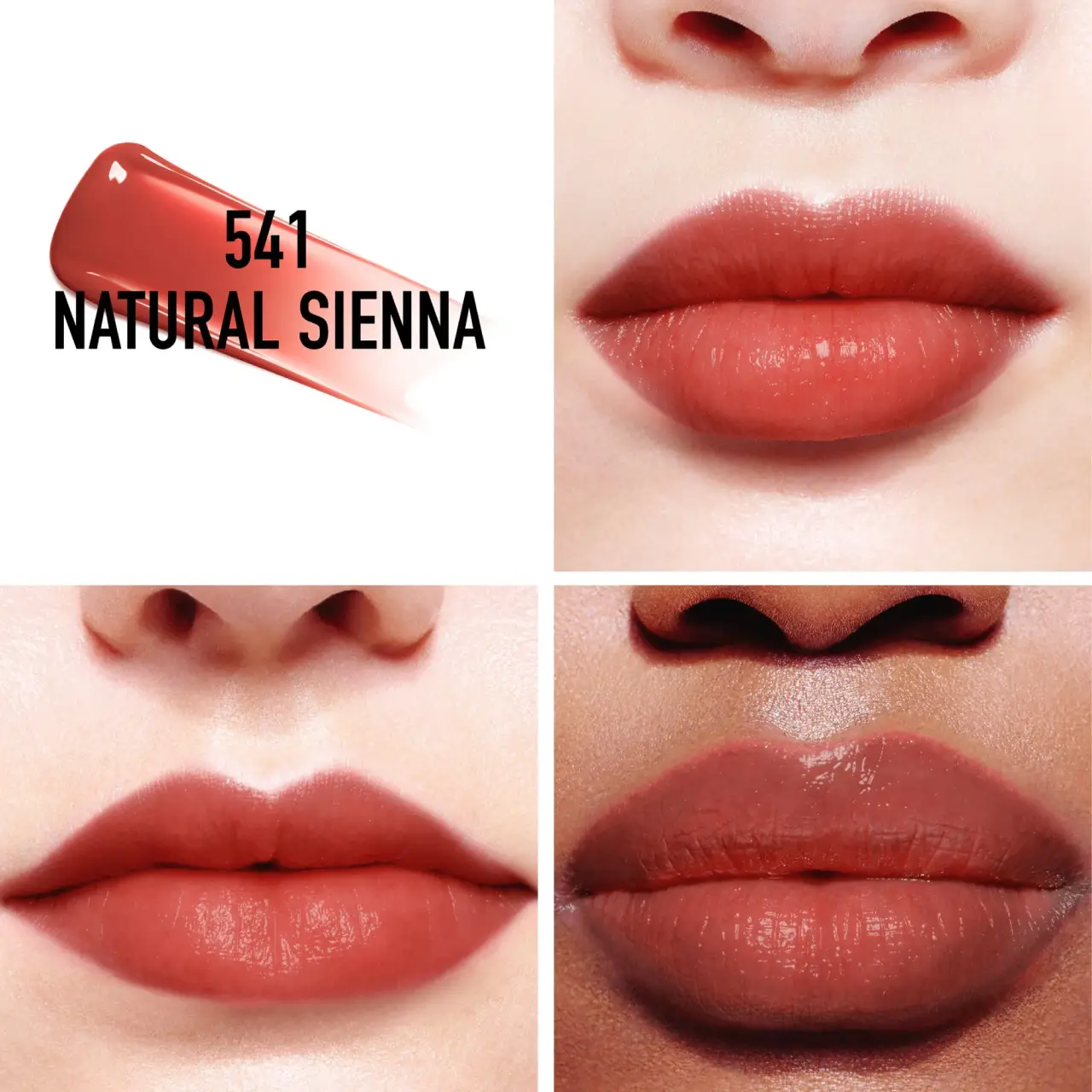 Dior Addict Lip Tint #541 Natural Sienna (5ml) 2 Dior Addict Lip Tint #541 Natural Sienna (5ml)